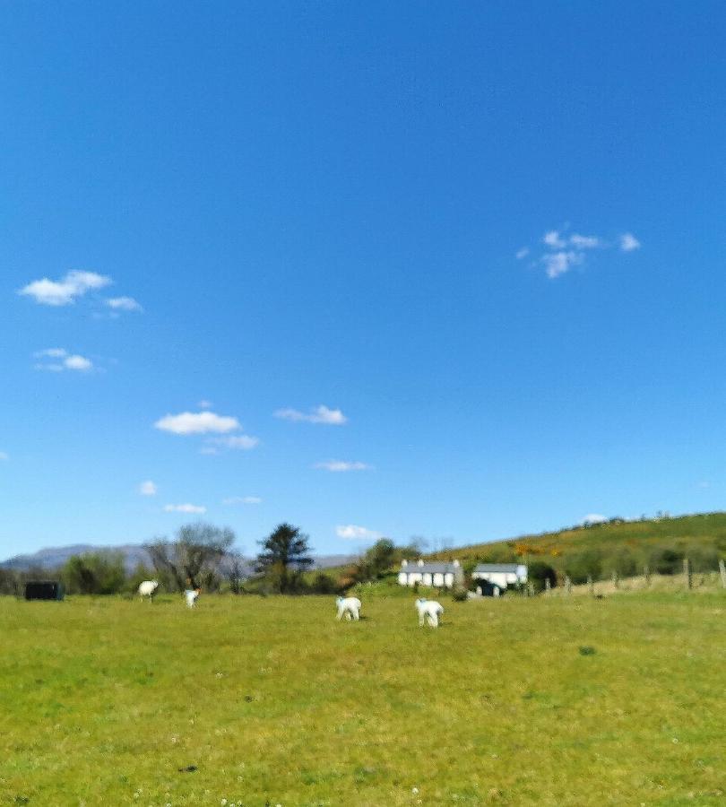 New Listing - Ladybird Cottage - Donegal - Wild Atlantic Way Donegal Town Zewnętrze zdjęcie