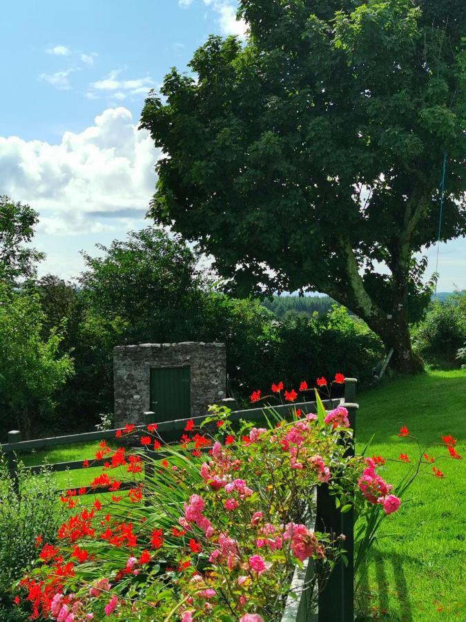 New Listing - Ladybird Cottage - Donegal - Wild Atlantic Way Donegal Town Zewnętrze zdjęcie