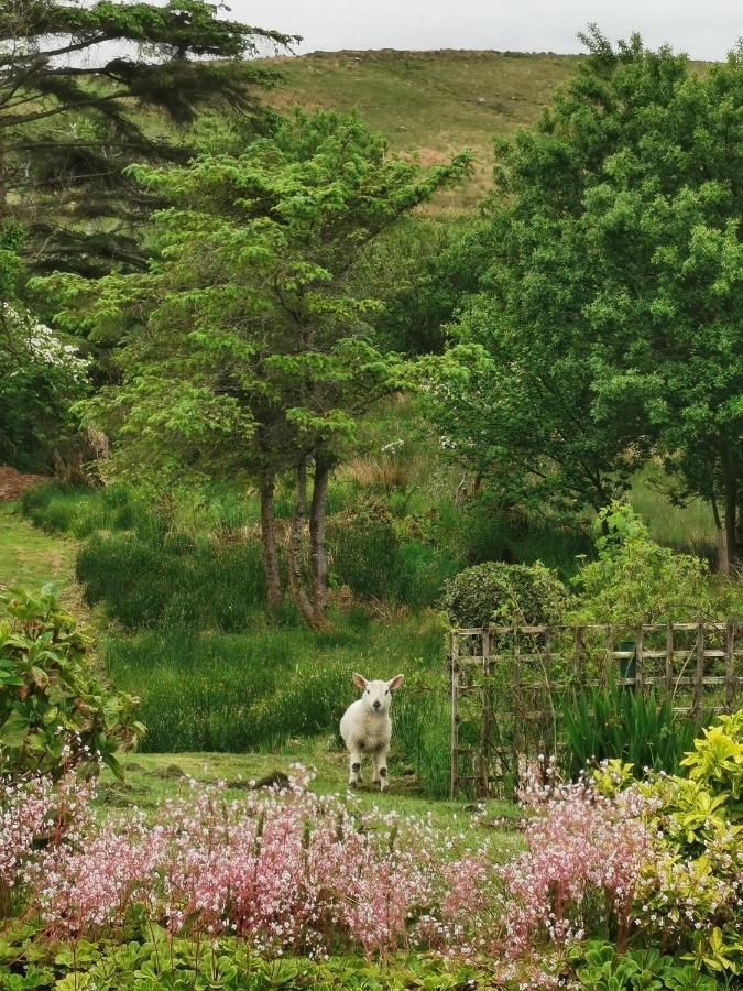 New Listing - Ladybird Cottage - Donegal - Wild Atlantic Way Donegal Town Zewnętrze zdjęcie