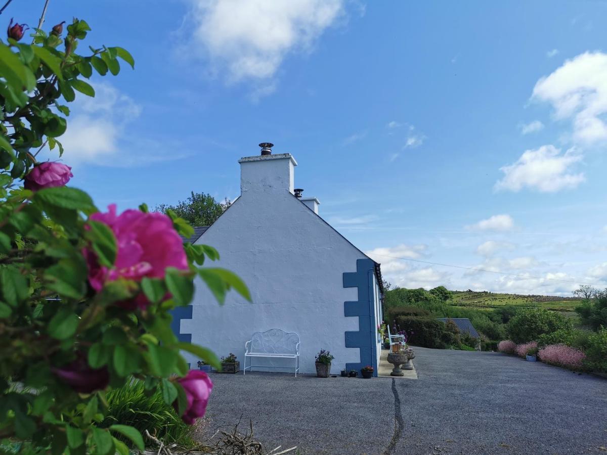 New Listing - Ladybird Cottage - Donegal - Wild Atlantic Way Donegal Town Zewnętrze zdjęcie