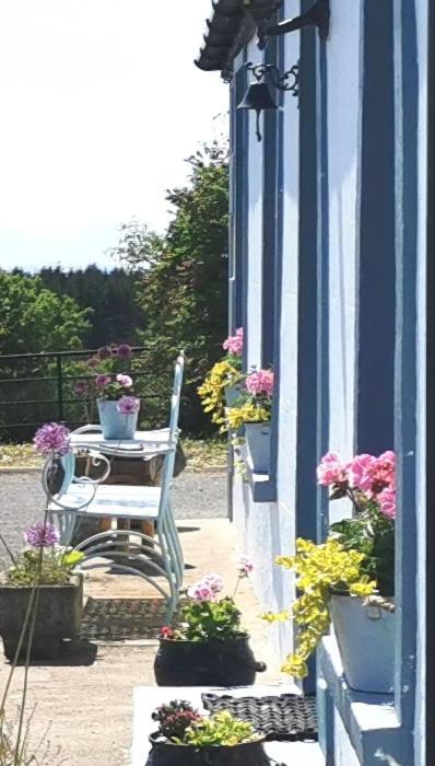 New Listing - Ladybird Cottage - Donegal - Wild Atlantic Way Donegal Town Zewnętrze zdjęcie