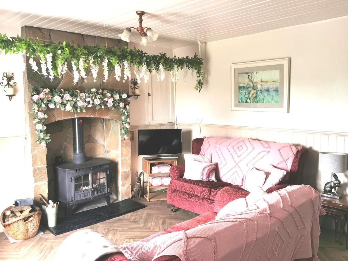 New Listing - Ladybird Cottage - Donegal - Wild Atlantic Way Donegal Town Zewnętrze zdjęcie